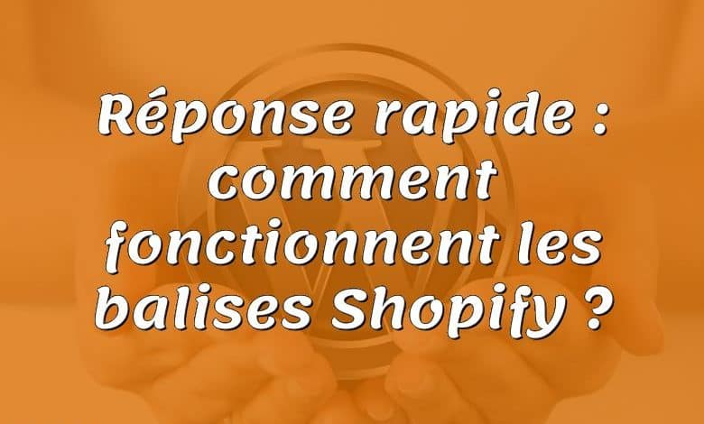 Réponse rapide : comment fonctionnent les balises Shopify ?